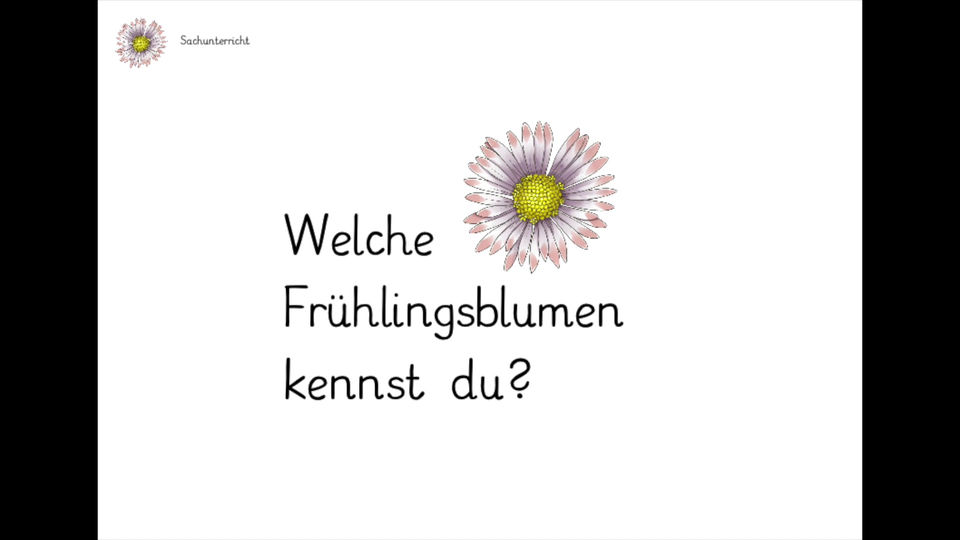 Frühlingsblumen